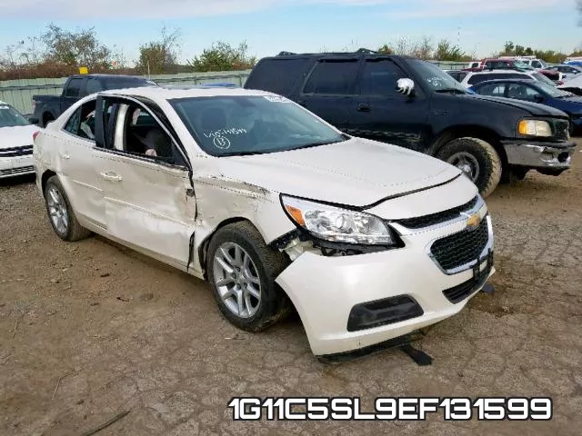 1G11C5SL9EF131599