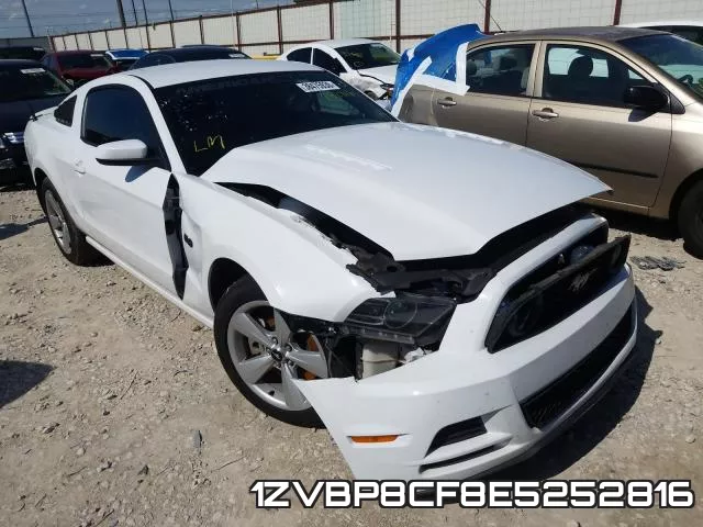 1ZVBP8CF8E5252816