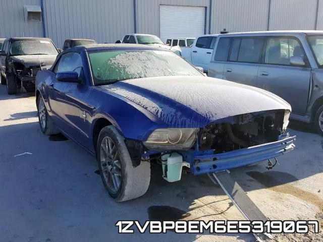 1ZVBP8EM6E5319067