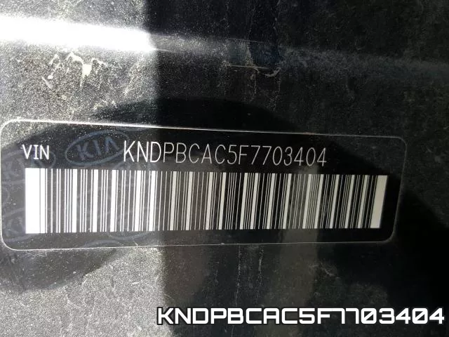 KNDPBCAC5F7703404_10.webp