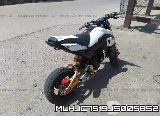 MLHJC7519J5005852_4.webp