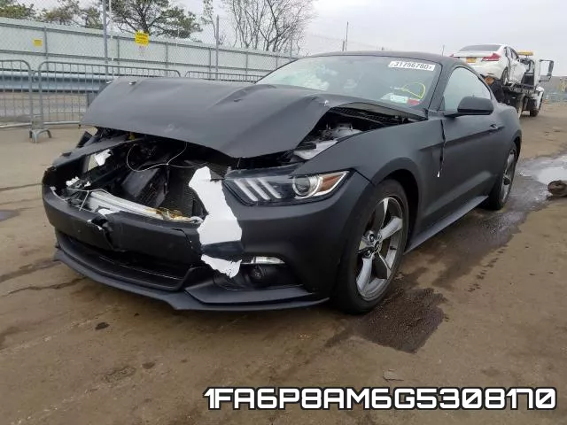 1FA6P8AM6G5308170