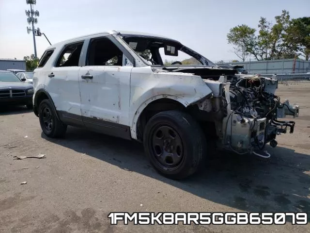 1FM5K8AR5GGB65079