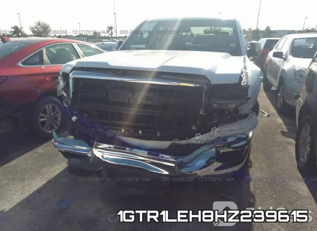 1GTR1LEH8HZ239615_6.webp