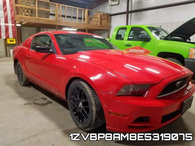 1ZVBP8AM8E5319075