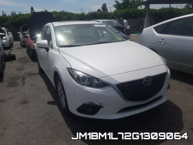 JM1BM1L72G1309064