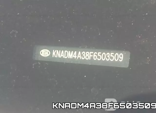 KNADM4A38F6503509_9.webp