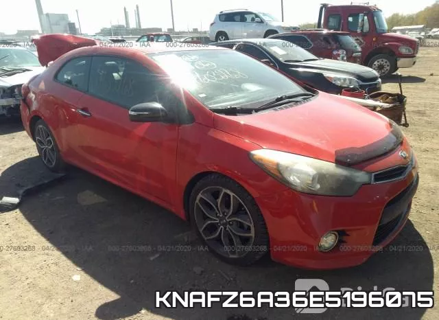KNAFZ6A36E5196075
