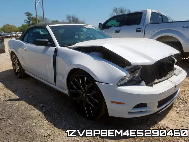 1ZVBP8EM4E5290460