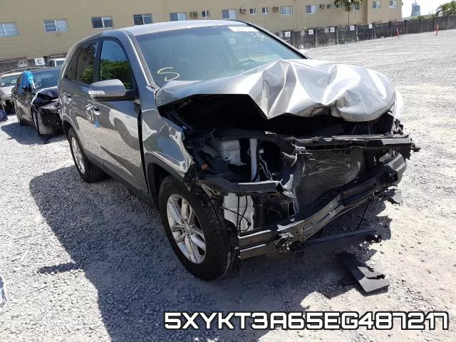 5XYKT3A65EG487217