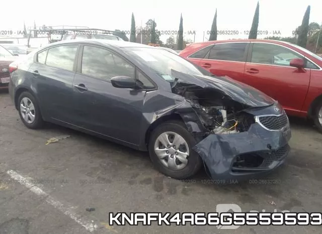 KNAFK4A66G5559593