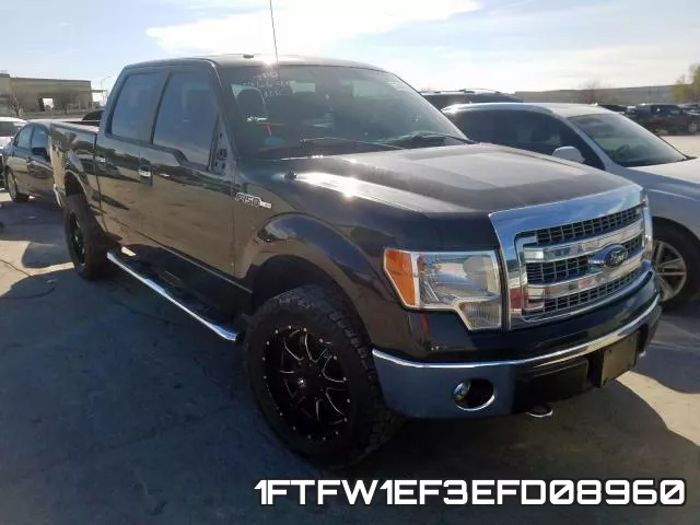 1FTFW1EF3EFD08960