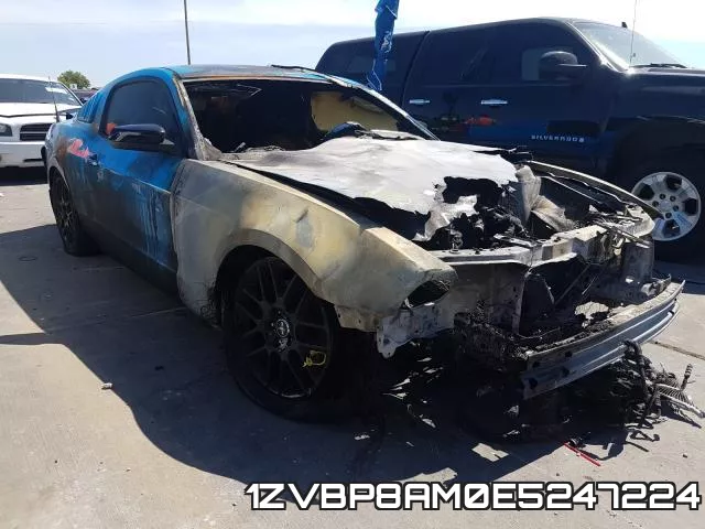 1ZVBP8AM0E5247224