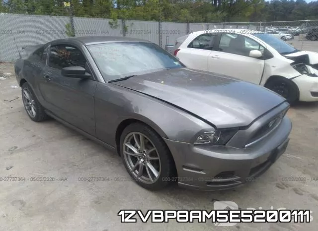 1ZVBP8AM5E5200111