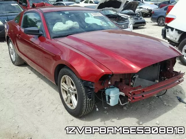 1ZVBP8AM6E5308818
