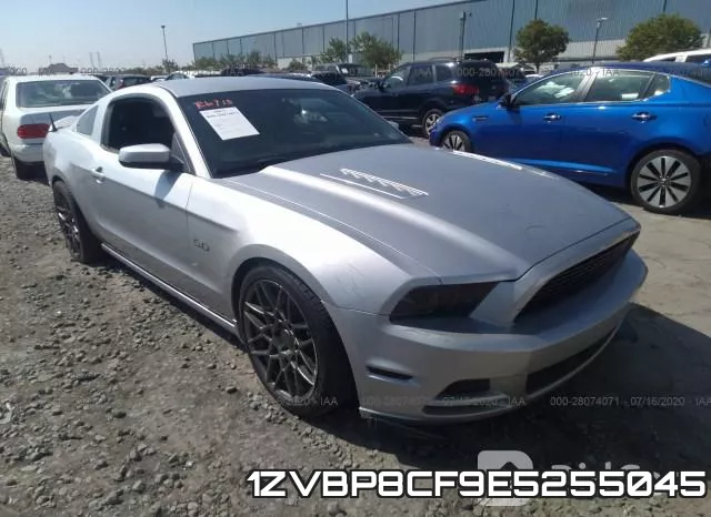 1ZVBP8CF9E5255045
