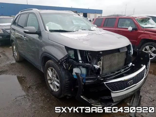 5XYKT3A61EG430920