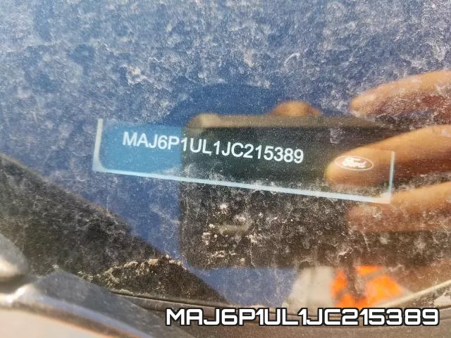 MAJ6P1UL1JC215389_10.webp