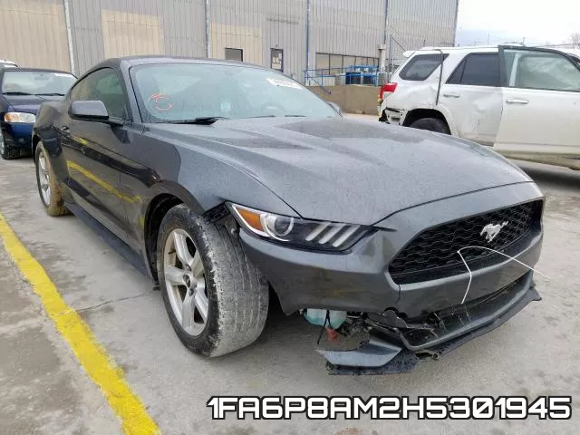 1FA6P8AM2H5301945_1.webp