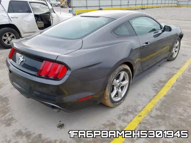1FA6P8AM2H5301945_4.webp