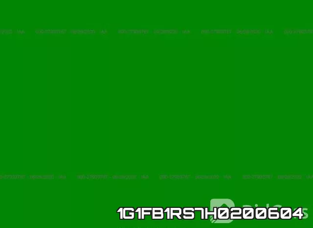 1G1FB1RS7H0200604_3.webp