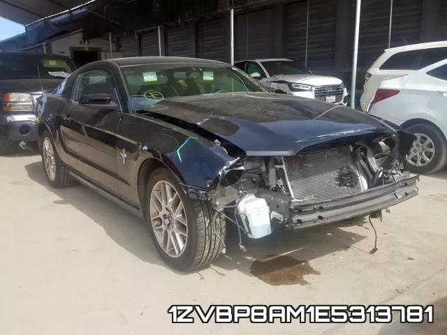 1ZVBP8AM1E5313781