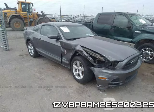 1ZVBP8AM2E5200325