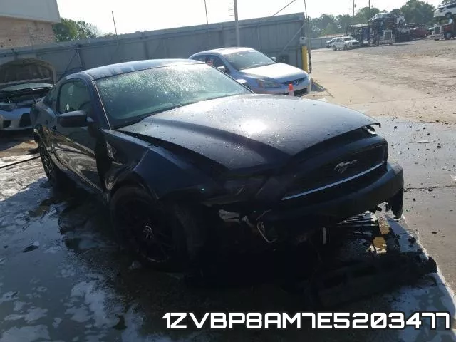 1ZVBP8AM7E5203477