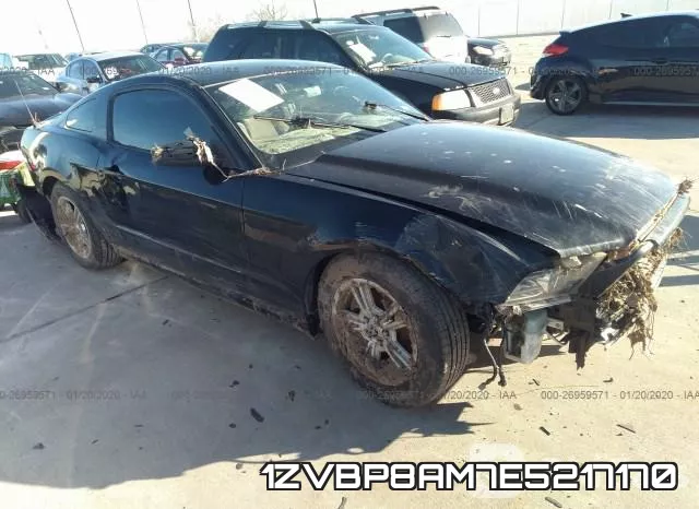 1ZVBP8AM7E5217170