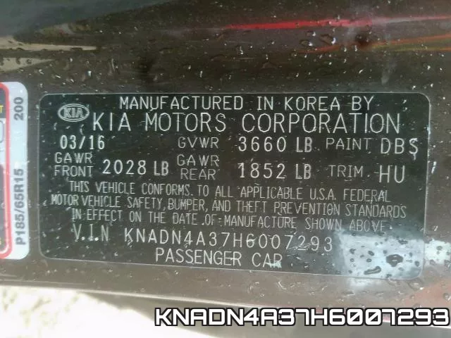 KNADN4A37H6007293_10.webp