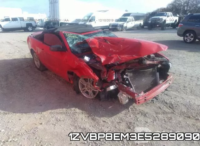 1ZVBP8EM3E5289090