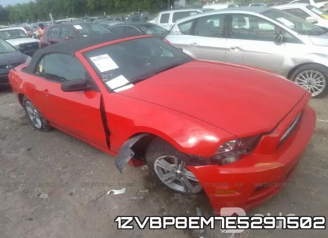 1ZVBP8EM7E5297502