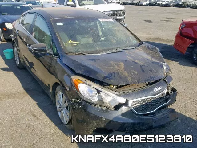 KNAFX4A80E5123810