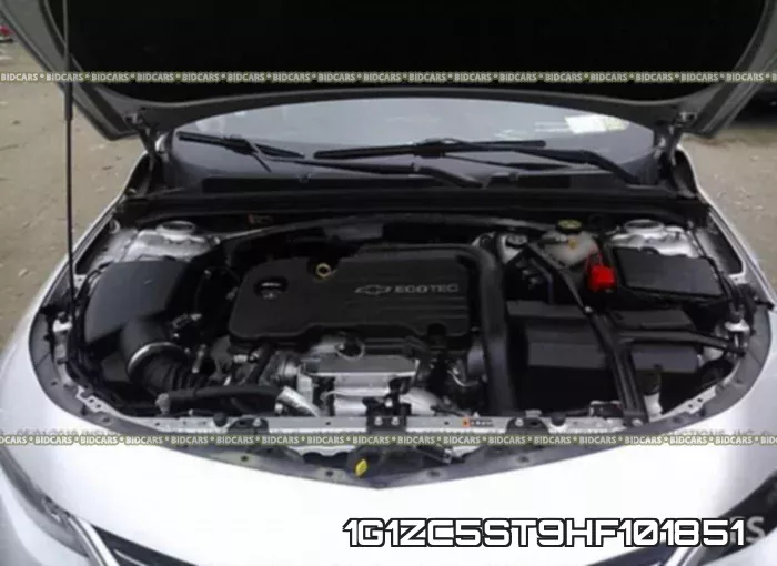 1G1ZC5ST9HF101851_10.webp