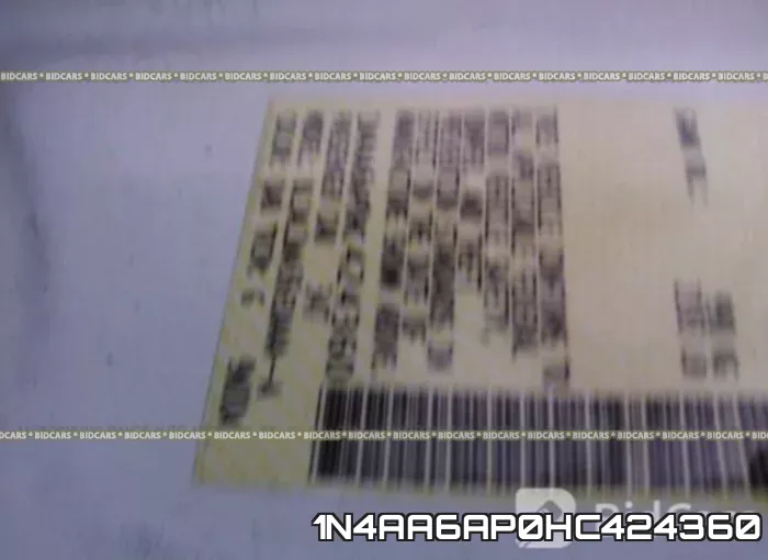 1N4AA6AP0HC424360_9.webp