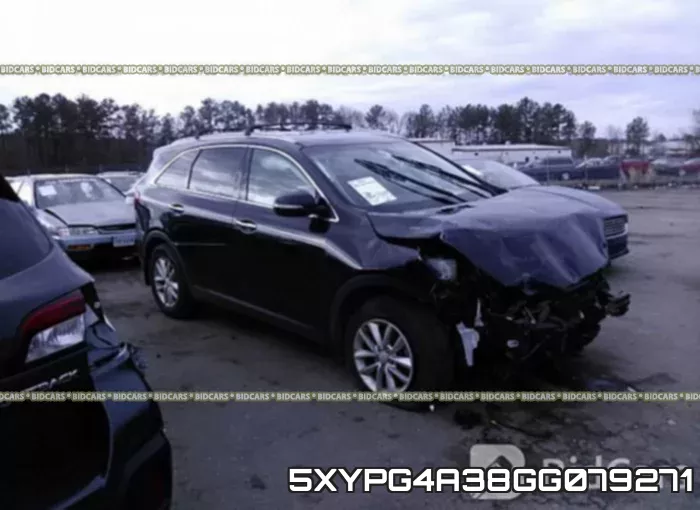5XYPG4A38GG079271