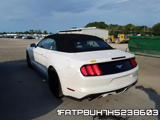 1FATP8UH7H5238603_3.webp