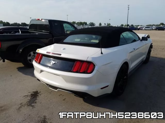 1FATP8UH7H5238603_4.webp