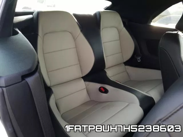 1FATP8UH7H5238603_6.webp