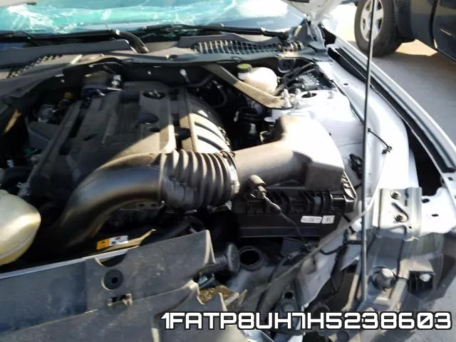 1FATP8UH7H5238603_7.webp