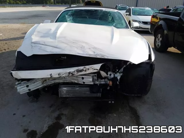 1FATP8UH7H5238603_9.webp
