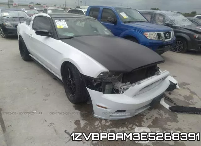 1ZVBP8AM3E5268391