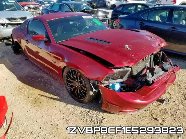 1ZVBP8CF1E5293823