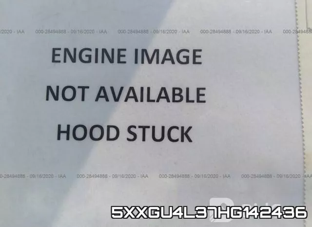 5XXGU4L37HG142436_10.webp