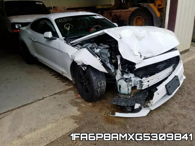 1FA6P8AMXG5309841