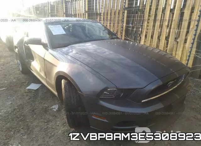 1ZVBP8AM3E5308923