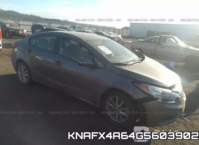 KNAFX4A64G5603902