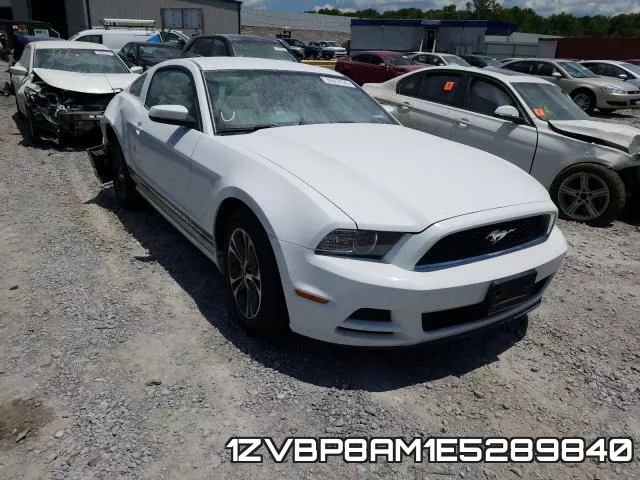 1ZVBP8AM1E5289840