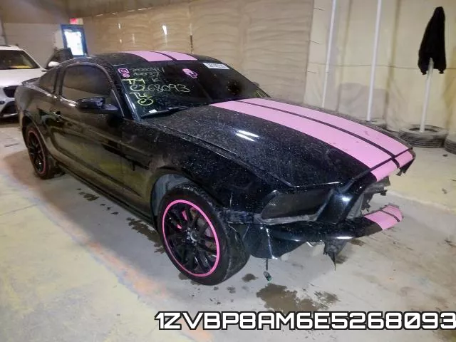 1ZVBP8AM6E5268093
