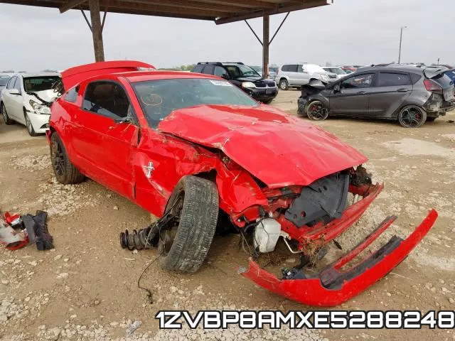 1ZVBP8AMXE5288248